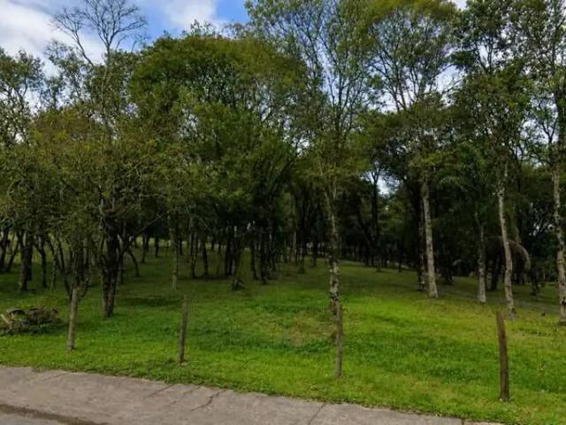 Terreno venda em Região Geográfica Imediata de São Bento do Sul-Rio Negrinho, São Bento do Sul