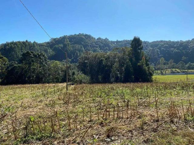 Terreno venda em Região Geográfica Imediata de São Bento do Sul-Rio Negrinho, São Bento do Sul