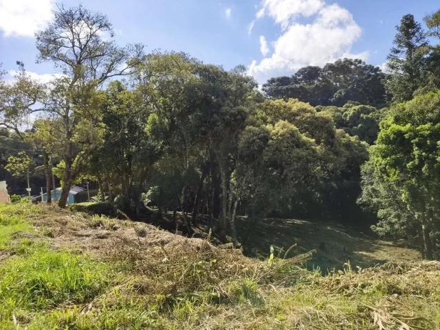 Terreno venda em Região Geográfica Imediata de São Bento do Sul-Rio Negrinho, São Bento do Sul