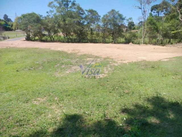 Terreno venda em Cruzeiro, São Bento do Sul