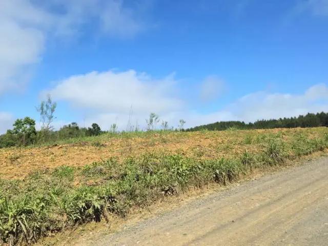 Terreno venda em Região Geográfica Imediata de São Bento do Sul-Rio Negrinho, São Bento do Sul