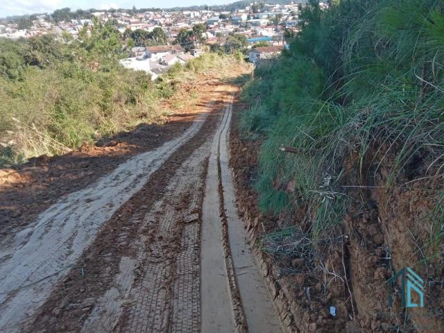 Terreno venda em Região Geográfica Imediata de São Bento do Sul-Rio Negrinho, São Bento do Sul