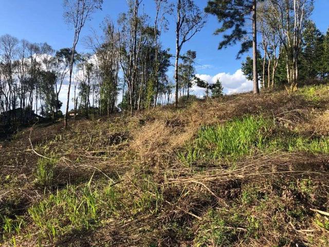 Terreno venda em Região Geográfica Imediata de São Bento do Sul-Rio Negrinho, São Bento do Sul