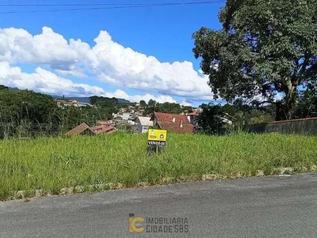 Terreno venda em Região Geográfica Imediata de São Bento do Sul-Rio Negrinho, São Bento do Sul