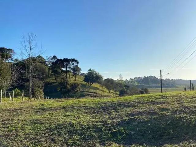Terreno venda em Região Geográfica Imediata de São Bento do Sul-Rio Negrinho, São Bento do Sul