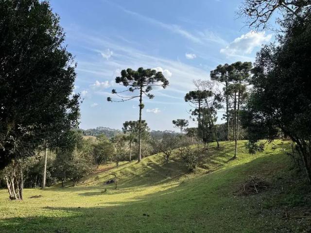 Terreno venda em Região Geográfica Imediata de São Bento do Sul-Rio Negrinho, São Bento do Sul