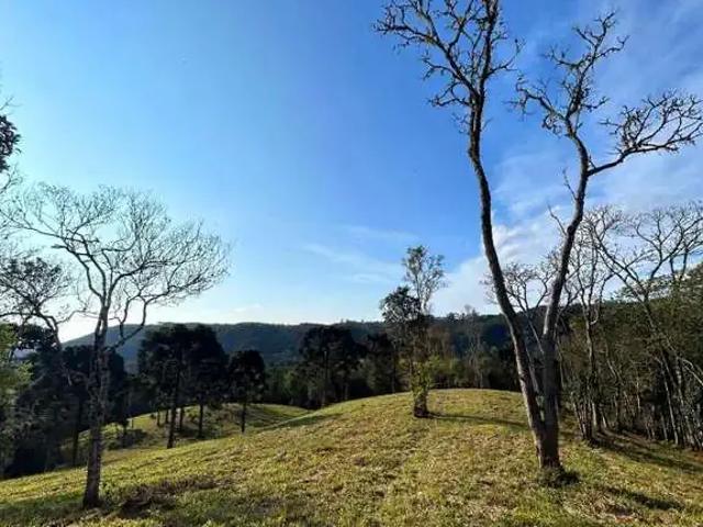 Terreno venda em Região Geográfica Imediata de São Bento do Sul-Rio Negrinho, São Bento do Sul