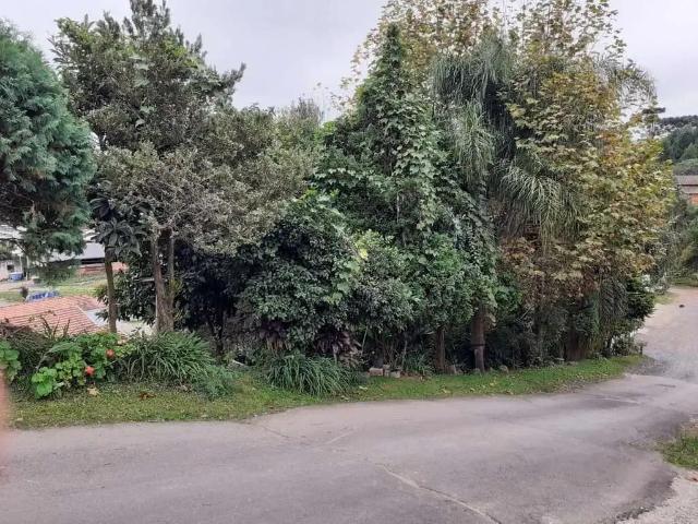 Terreno venda em Região Geográfica Imediata de São Bento do Sul-Rio Negrinho, São Bento do Sul