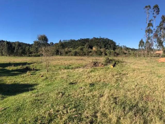 Terreno venda em Região Geográfica Imediata de São Bento do Sul-Rio Negrinho, São Bento do Sul