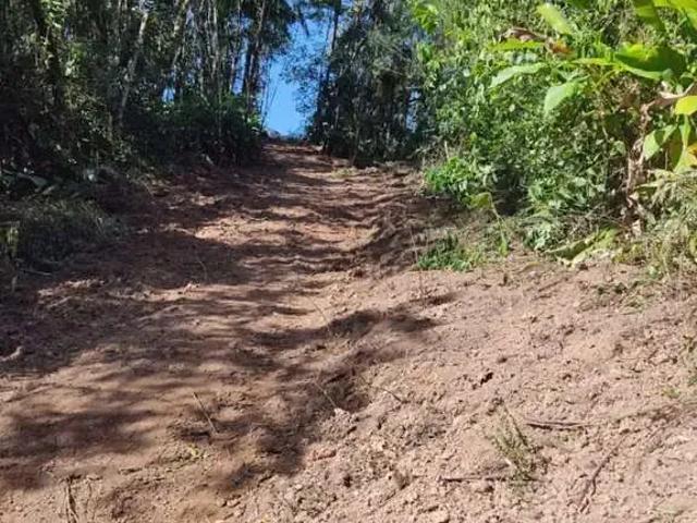 Terreno venda em Região Geográfica Imediata de São Bento do Sul-Rio Negrinho, São Bento do Sul