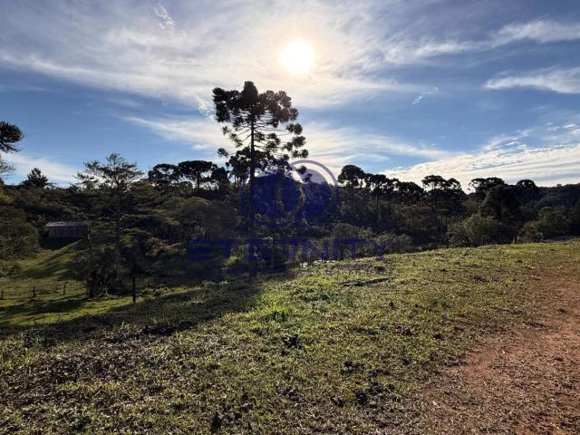 Terreno venda em Serra Alta, São Bento do Sul