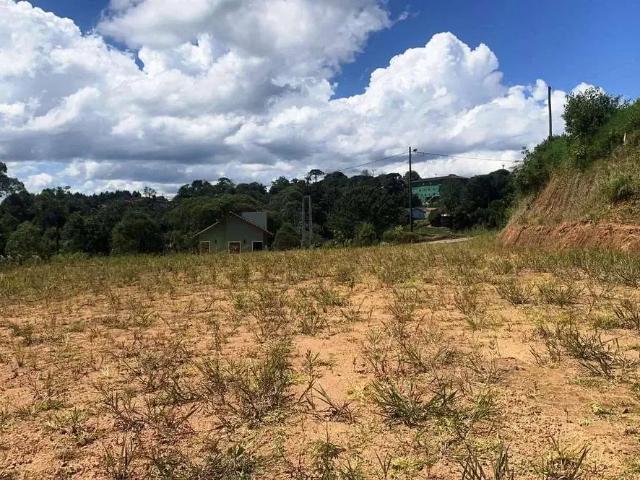 Terreno venda em Região Geográfica Imediata de São Bento do Sul-Rio Negrinho, São Bento do Sul
