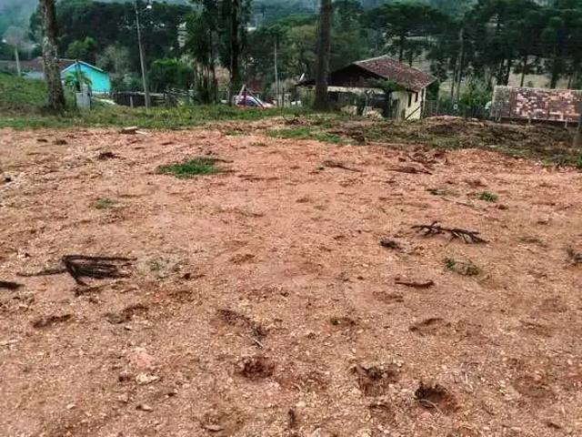 Terreno venda em Região Geográfica Imediata de São Bento do Sul-Rio Negrinho, São Bento do Sul