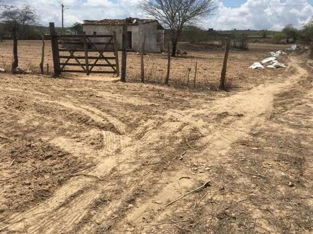 Terreno venda em Região Geográfica Imediata de Caruaru, São Caitano