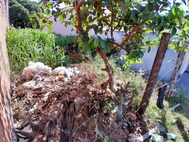 Terreno venda em Região Imediata de São Carlos, São Carlos