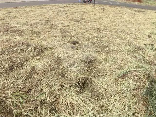 Terreno venda em Região Imediata de São Carlos, São Carlos