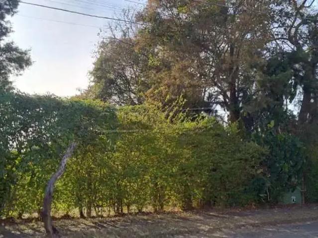 Terreno venda em Região Imediata de São Carlos, São Carlos