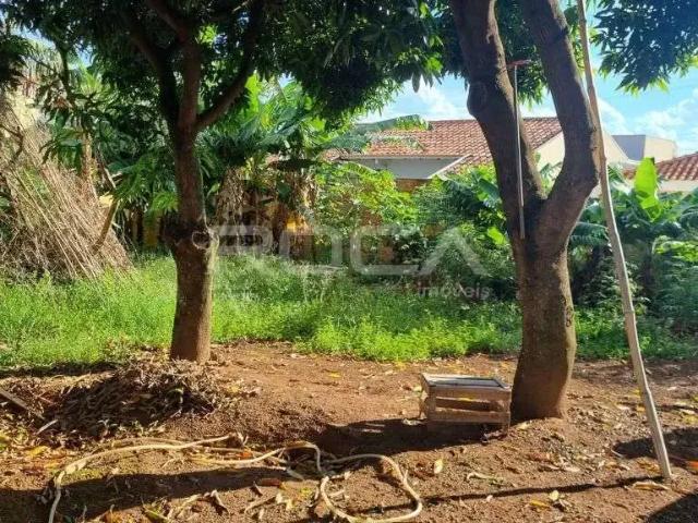 Terreno venda em São Carlos