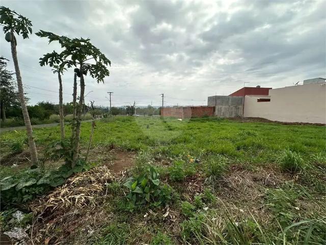 Terreno venda em Vila Nery, São Carlos