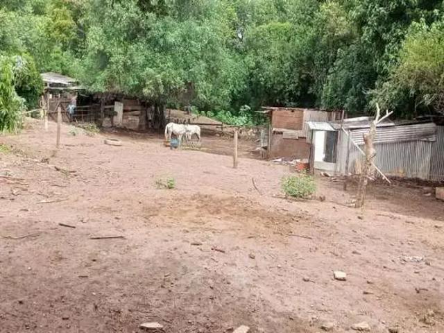 Terreno venda em São Carlos