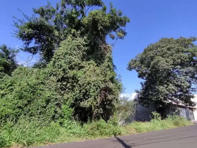 Terreno venda em Vila Nery, São Carlos