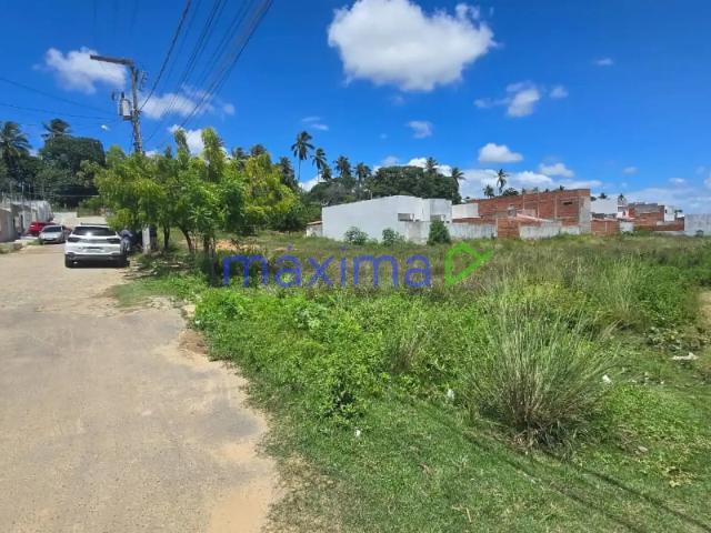 Terreno venda em São Cristóvão