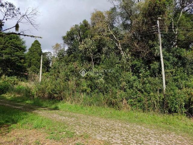 Terreno venda em Região Geográfica Imediata de Caxias do Sul, São Francisco de Paula