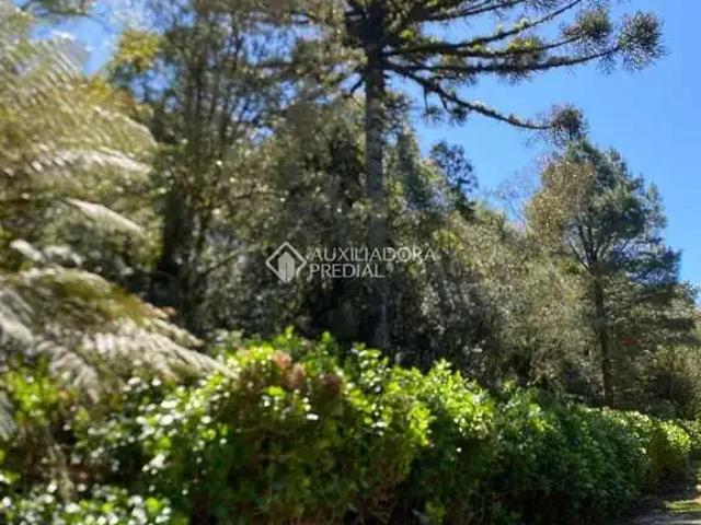 Terreno venda em Região Geográfica Imediata de Caxias do Sul, São Francisco de Paula