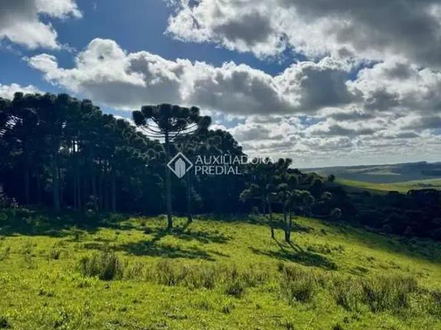 Terreno venda em Região Geográfica Imediata de Frederico Westphalen, Frederico Westphalen