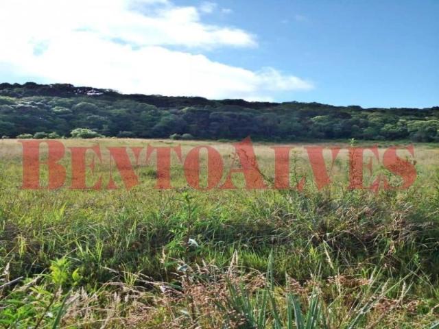 Terreno venda em Cazuza Ferreira, São Francisco de Paula