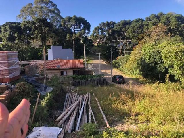Terreno venda em Região Geográfica Imediata de Santa Rosa, Santa Rosa