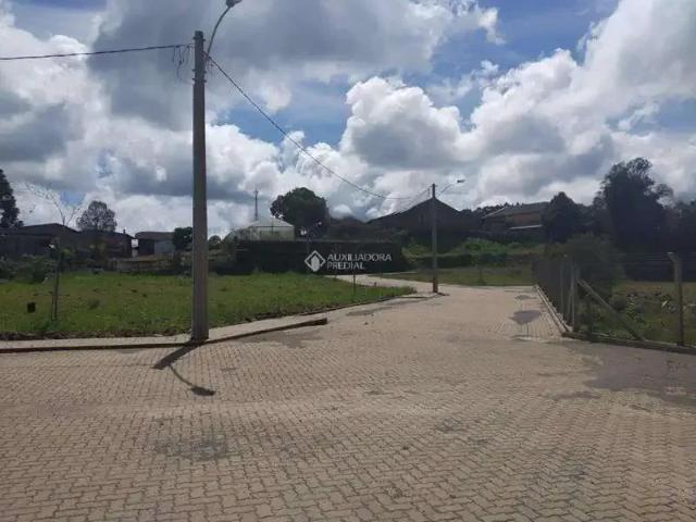 Terreno venda em Região Geográfica Imediata de Caxias do Sul, São Francisco de Paula