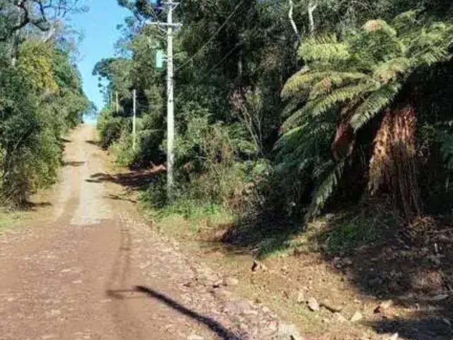 Terreno venda em Região Geográfica Imediata de Caxias do Sul, São Francisco de Paula