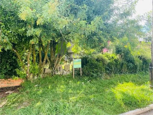 Terreno venda em Região Geográfica Imediata de Caxias do Sul, São Francisco de Paula