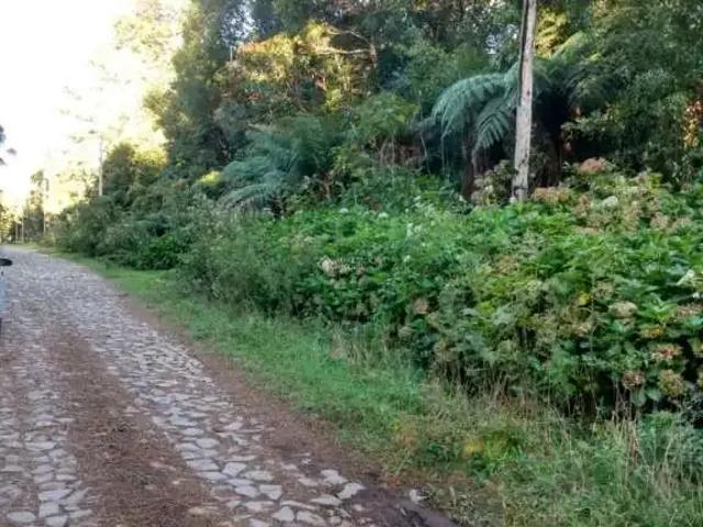 Terreno venda em Região Geográfica Imediata de Caxias do Sul, São Francisco de Paula