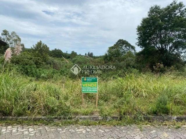 Terreno venda em Região Geográfica Imediata de Caxias do Sul, São Francisco de Paula