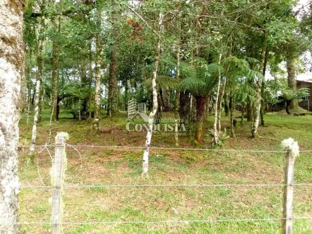 Terreno venda em Região Geográfica Imediata de Caxias do Sul, São Francisco de Paula