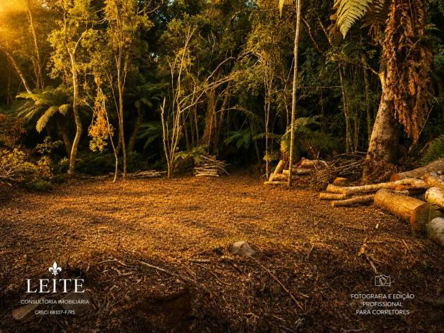 Terreno venda em Região Geográfica Imediata de Caxias do Sul, São Francisco de Paula