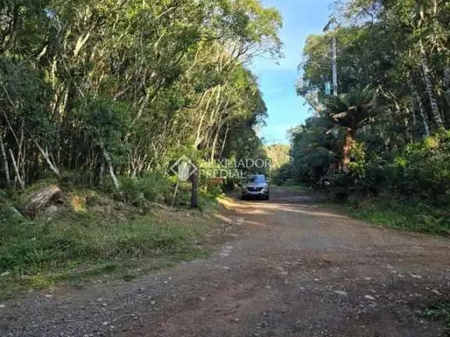 Terreno venda em Região Geográfica Imediata de Caxias do Sul, São Francisco de Paula