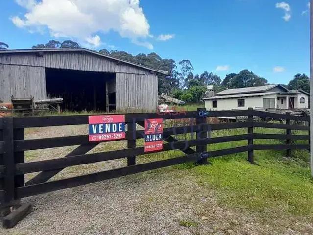 Terreno venda em Região Geográfica Imediata de Caxias do Sul, São Francisco de Paula