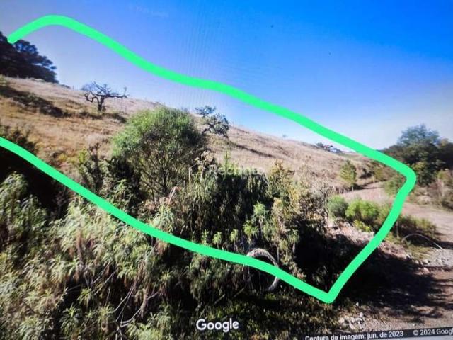 Terreno venda em Região Geográfica Imediata de Caxias do Sul, São Francisco de Paula