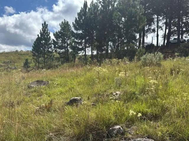 Terreno venda em Região Geográfica Imediata de Caxias do Sul, São Francisco de Paula