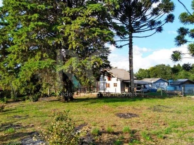 Terreno venda em Ipê