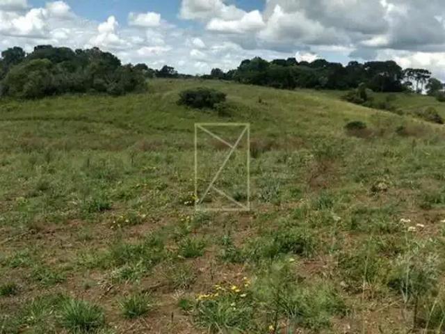 Terreno venda em Região Geográfica Imediata de Caxias do Sul, São Francisco de Paula