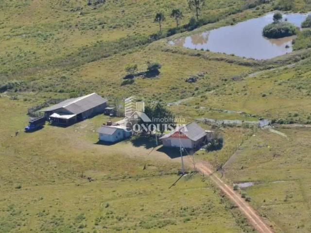 Terreno venda em Região Geográfica Imediata de Caxias do Sul, São Francisco de Paula