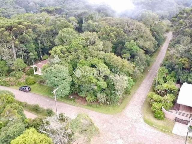Terreno venda em Região Geográfica Imediata de Santa Bárbara - Ouro Preto, Ouro Preto