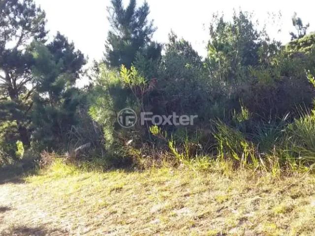 Terreno venda em Região Geográfica Imediata de Caxias do Sul, São Francisco de Paula