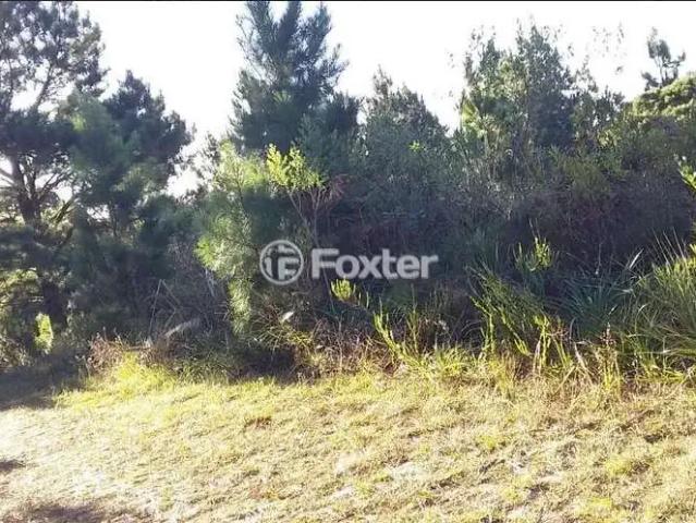 Terreno venda em Região Geográfica Imediata de Caxias do Sul, São Francisco de Paula