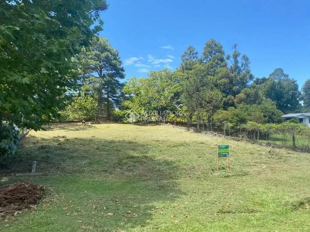 Terreno venda em Região Geográfica Imediata de Caxias do Sul, São Francisco de Paula