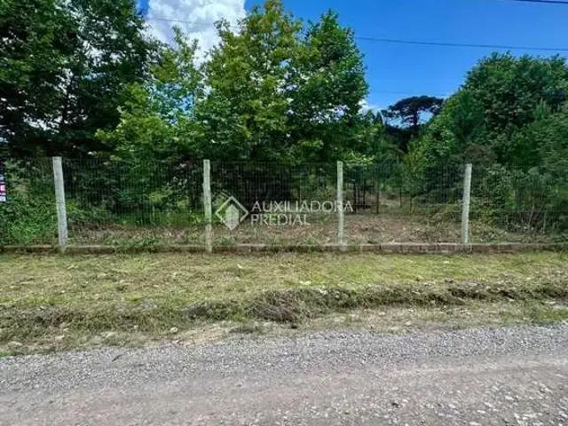 Terreno venda em Região Geográfica Imediata de Caxias do Sul, São Francisco de Paula